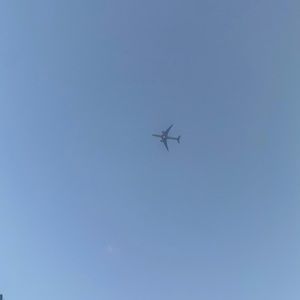 Meet your Posher, Daisy